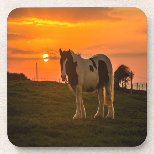 Sunset Horse Beverage Coaster (Front)