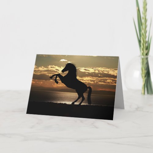 sunset horse greeting card