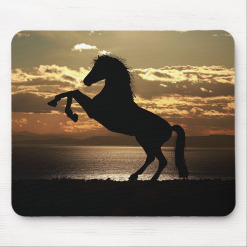 sunset horse mouse pad