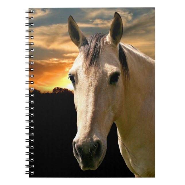 Sunset horse notebook (Front)