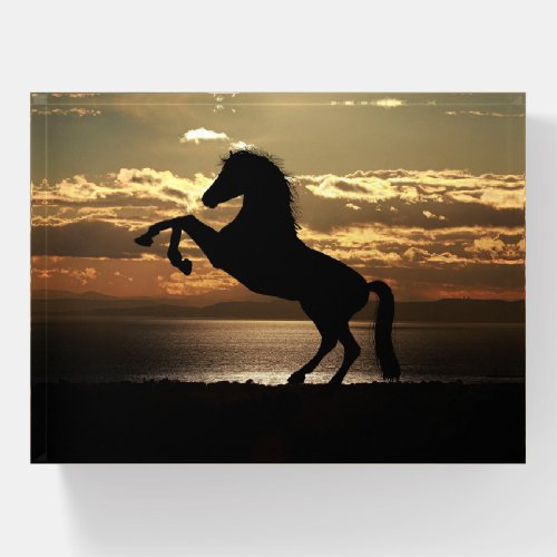 sunset horse paperweight