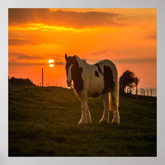 Sunset Horse Poster (Front)