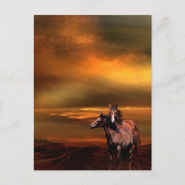 Sunset horses postcard (Front)