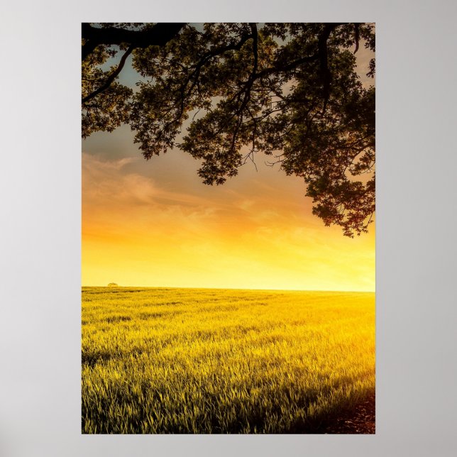 Sunset in a Rural Field Landscape Poster (Front)