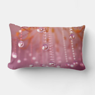 Sunset in Crystal Pillow