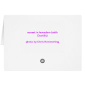 Sunset in lavenders (Back Horizontal)