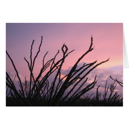 Sunset in lavenders cards (Front Horizontal)