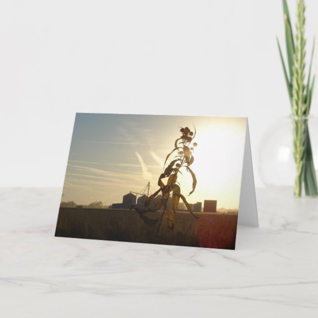Sunset in Morning Sun, Iowa Card (Front)