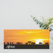 Sunset in Serengeti (Standing Front)
