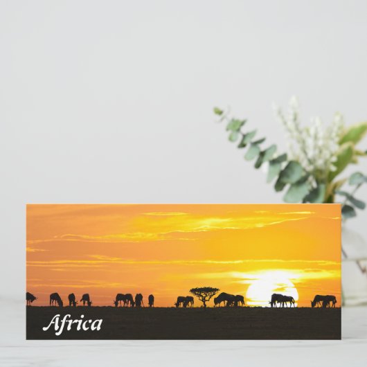 Sunset in Serengeti (Standing Front)