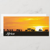 Sunset in Serengeti (Front/Back)