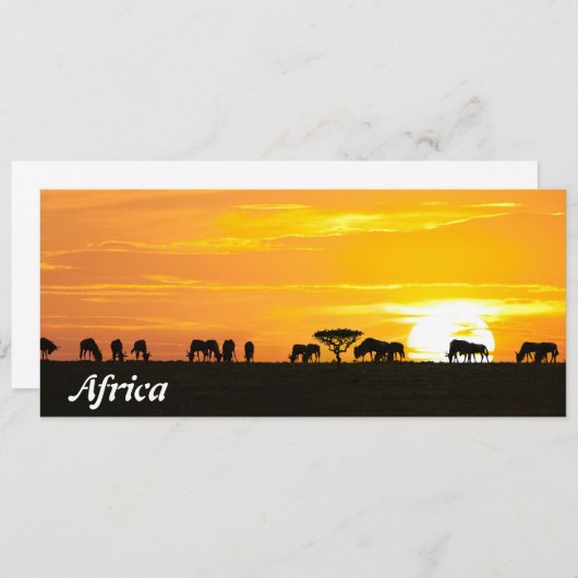 Sunset in Serengeti (Front/Back)