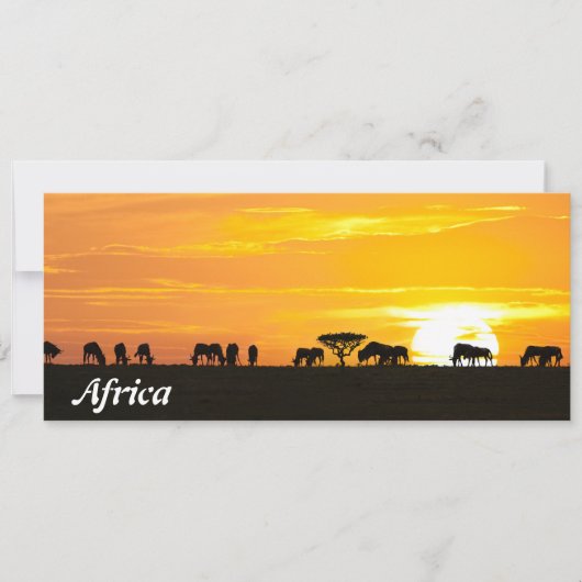 Sunset in Serengeti (Front)