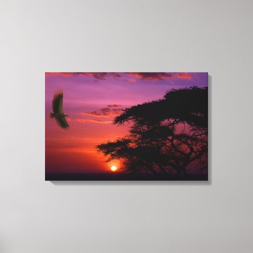 Sunset in Serengeti Canvas Print