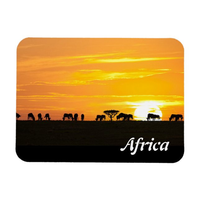 Sunset in Serengeti Magnet (Horizontal)