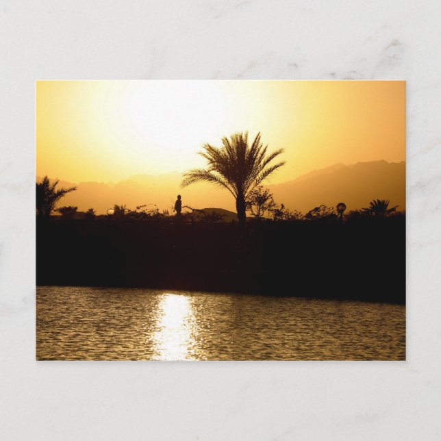 Sunset in Sharm el Sheikh, Egypt Postcard (Front)