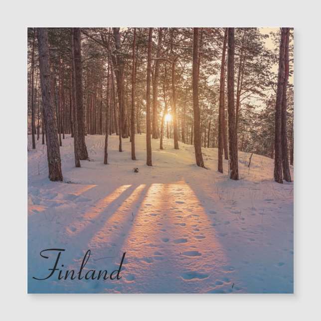 Sunset in snowy winter pine forest (Front)