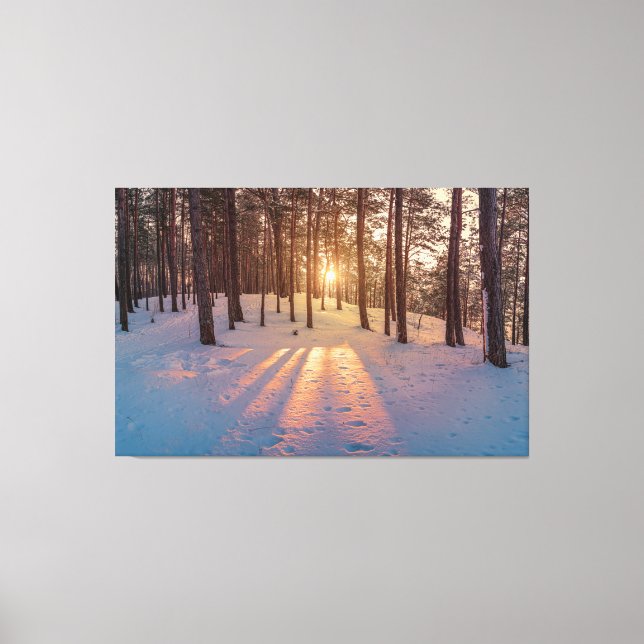 Sunset in snowy winter pine forest canvas print (Front)