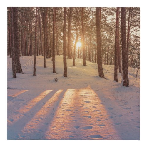 Sunset in snowy winter pine forest faux canvas print