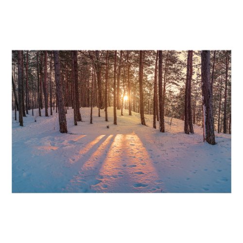 Sunset in snowy winter pine forest photo print