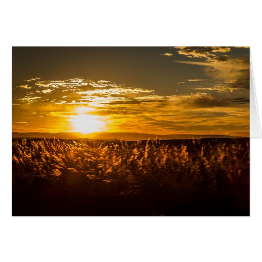 Sunset in South Africa (Front Horizontal)