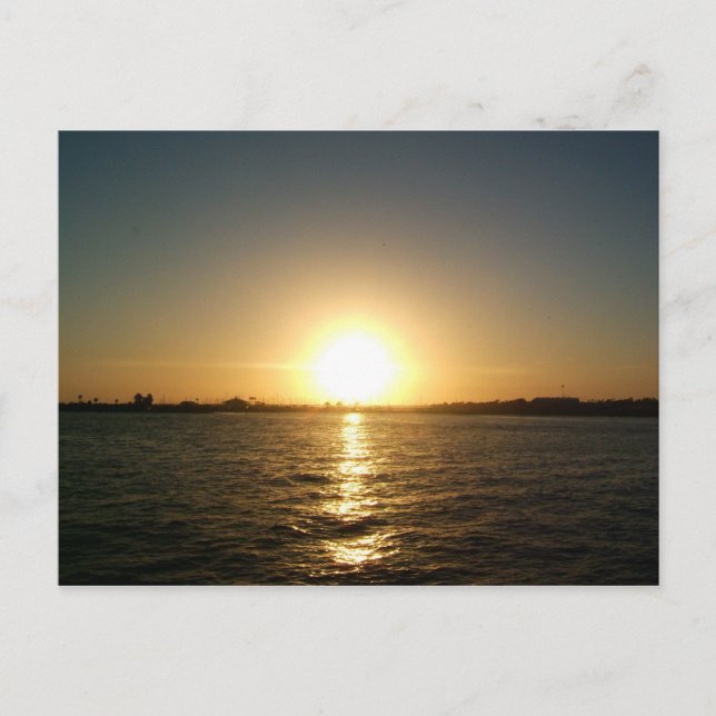 sunset in tampa florida postcard (Front)