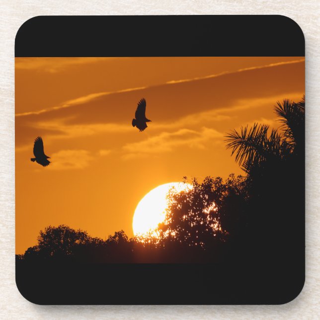 Sunset in the Everglades Coaster (Front)