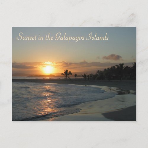 Sunset in the Galapagos Islands Postcard