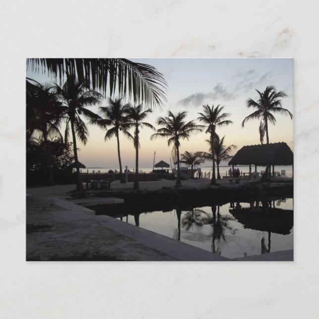 Sunset in the Keys Postcard (Front)