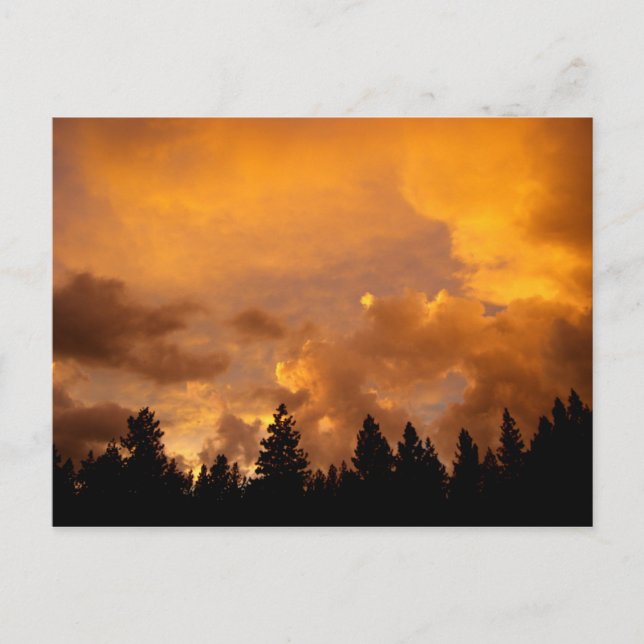 Sunset in the Sierras - Postcard (Front)