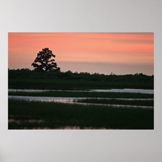 Sunset In The Wetlands Poster (Front)