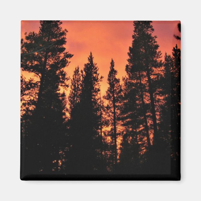 Sunset in Tuolumne Meadows, Yosemite, CA Magnet (Front)