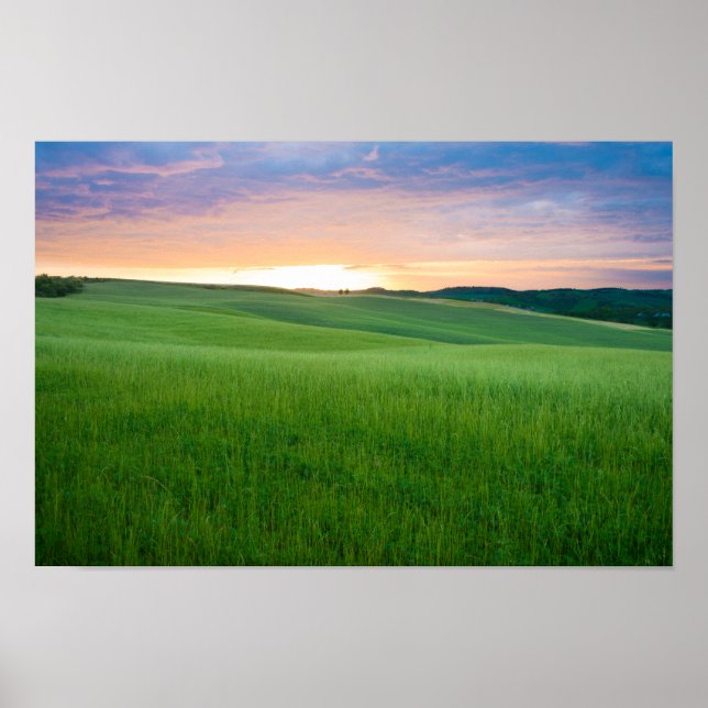 Sunset in Tuscany poster print (Front)