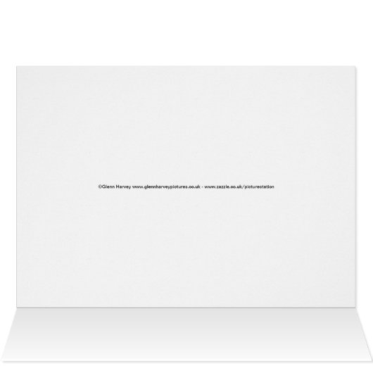 Sunset in Venice Italy (Inside Horizontal (Top))