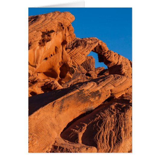 Sunset Inferno (Front)