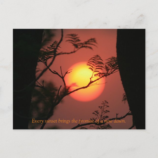 Sunset Inspirational Quote Postcard (Front)