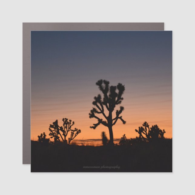 Sunset Joshua Trees  Car Magnet (Front)