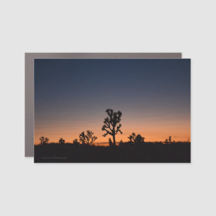 Sunset Joshua Trees Car Magnet