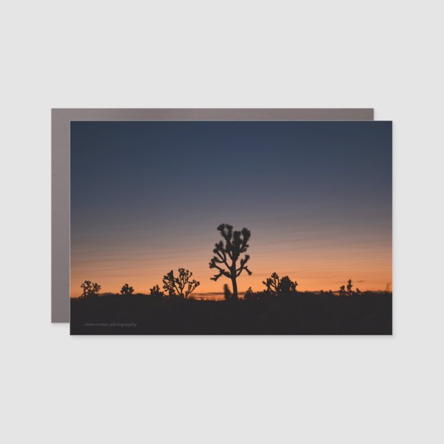 Sunset Joshua Trees Car Magnet (Front)