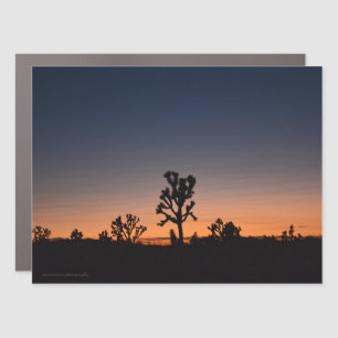 Sunset Joshua Trees Car Magnet