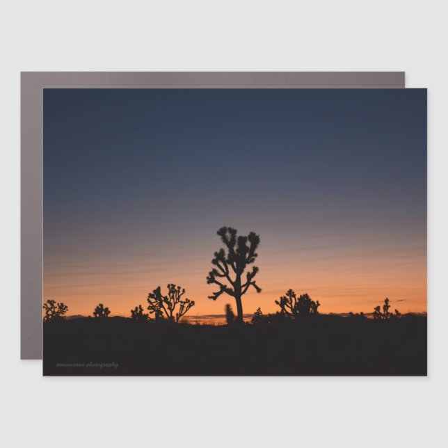 Sunset Joshua Trees Car Magnet (Front)