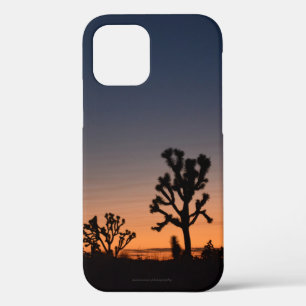 Sunset Joshua Trees iPhone 12 Case