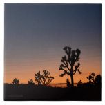 Sunset Joshua Trees Ceramic Tile