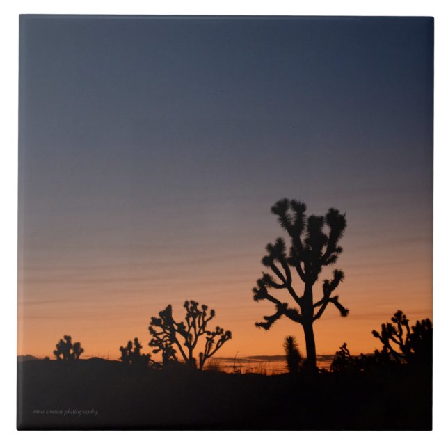 Sunset Joshua Trees Ceramic Tile (Front)