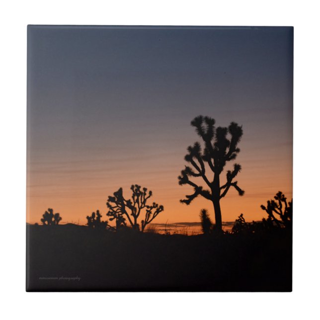 Sunset Joshua Trees Ceramic Tile (Front)