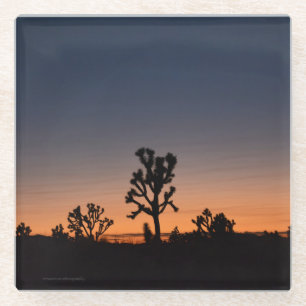 Sunset Joshua Trees Glass Coaster