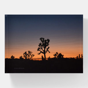 Sunset Joshua Trees Paperweight