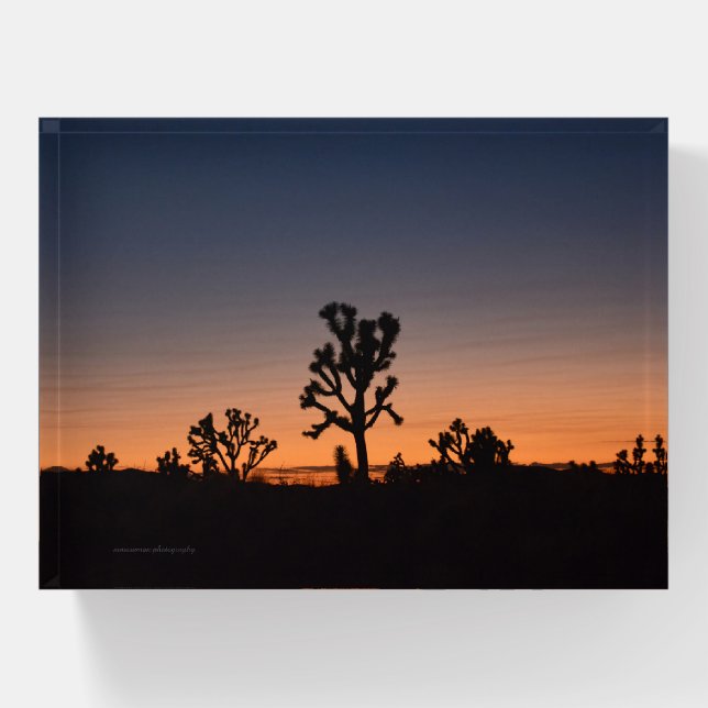 Sunset Joshua Trees Paperweight (Front)