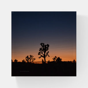 Sunset Joshua Trees Paperweight