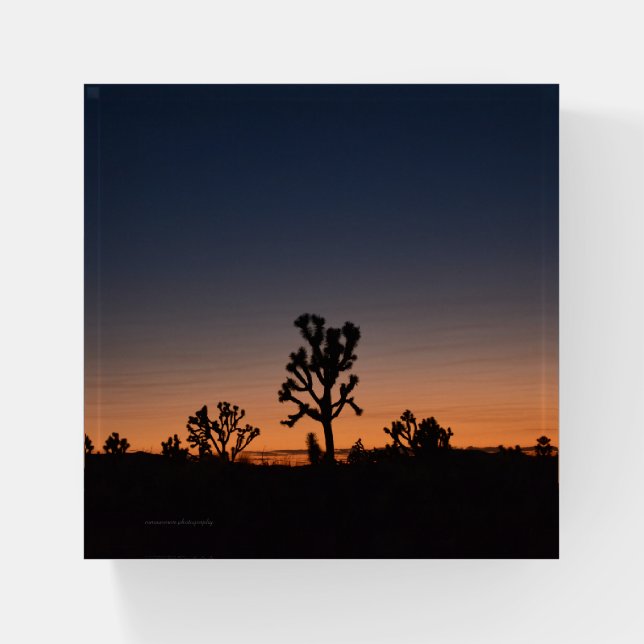 Sunset Joshua Trees Paperweight (Front)